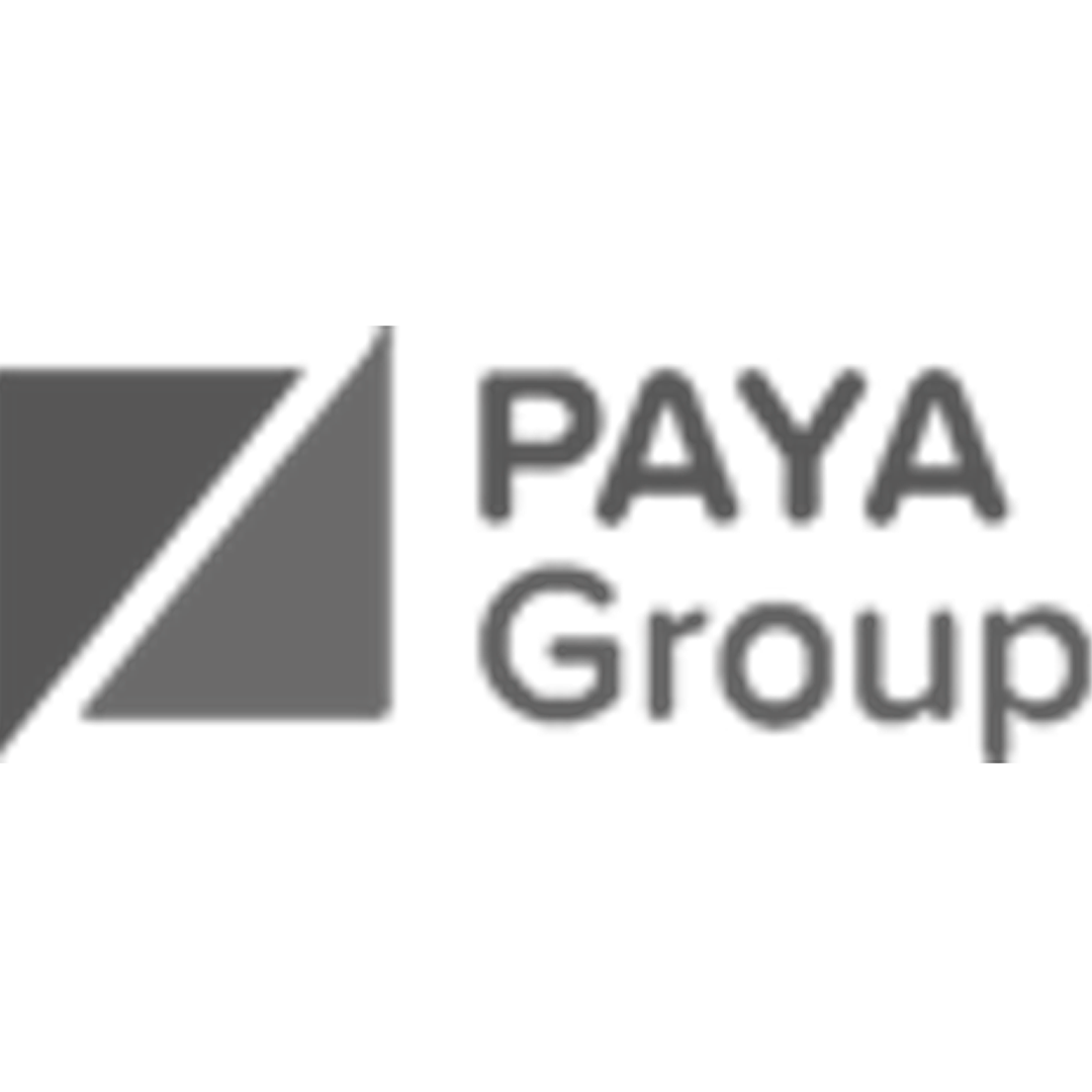 PAYA GROUP